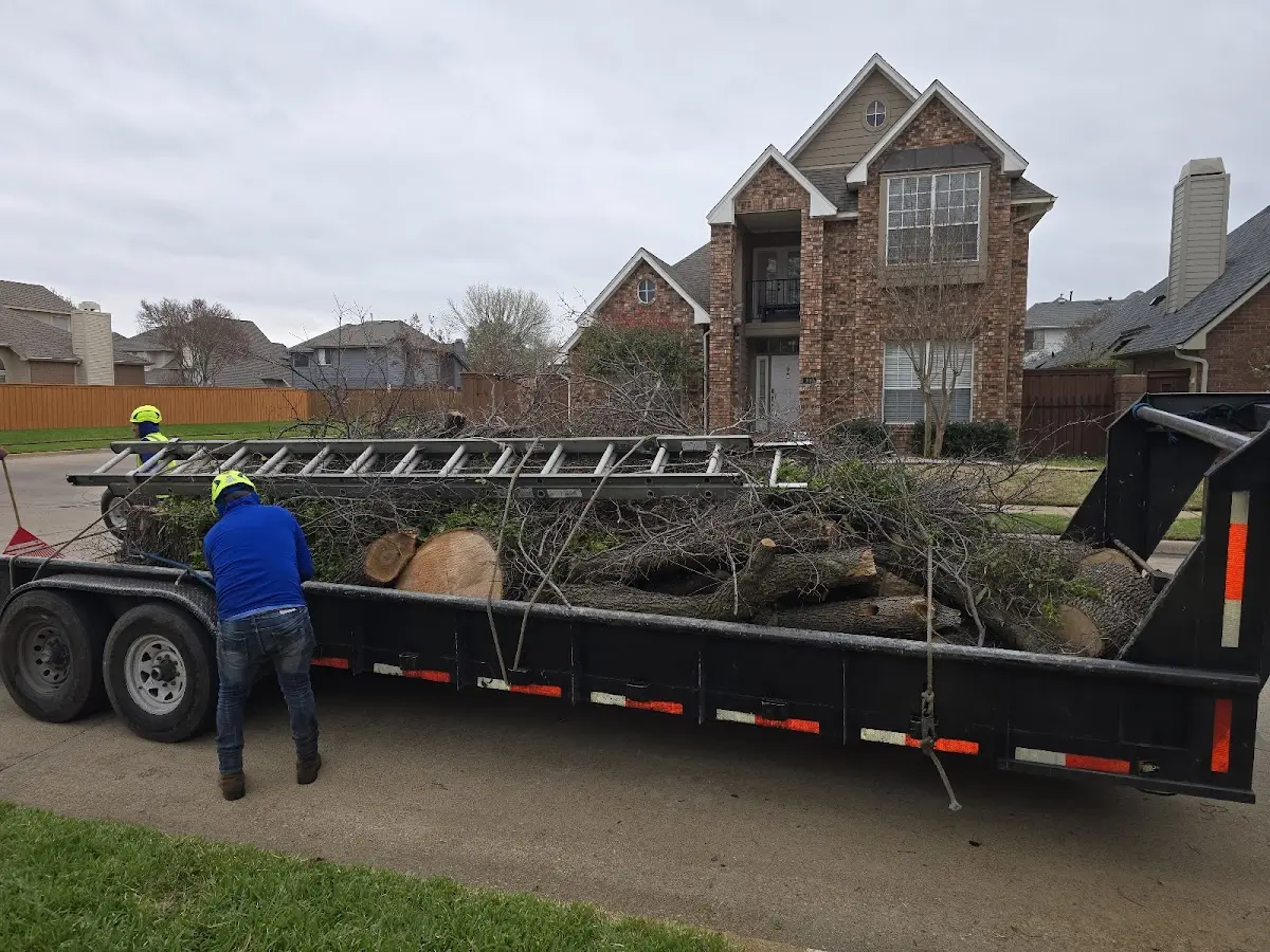 Expert Tree Fertilization with proper safety equipment in Taftville